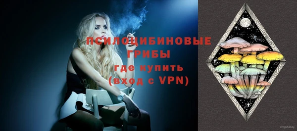 бошки Арсеньев