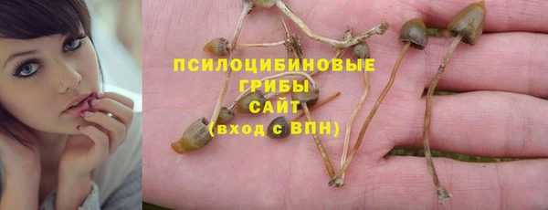 бошки Арсеньев