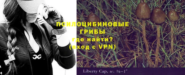ALPHA-PVP Осташков