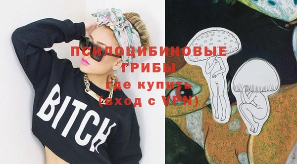 бошки Арсеньев