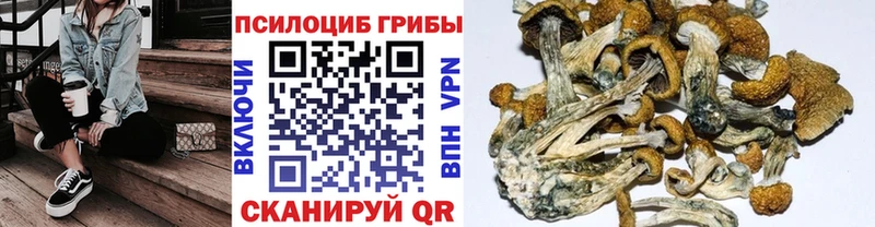 Псилоцибиновые грибы мицелий  Струнино 